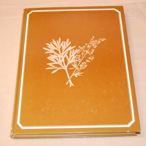 Toivo Rautavaara Miten luonto parantaa